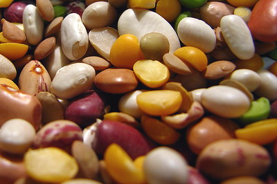 Guide to Slow Cooking Beans